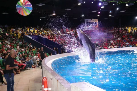 Dolphinarium Dubai